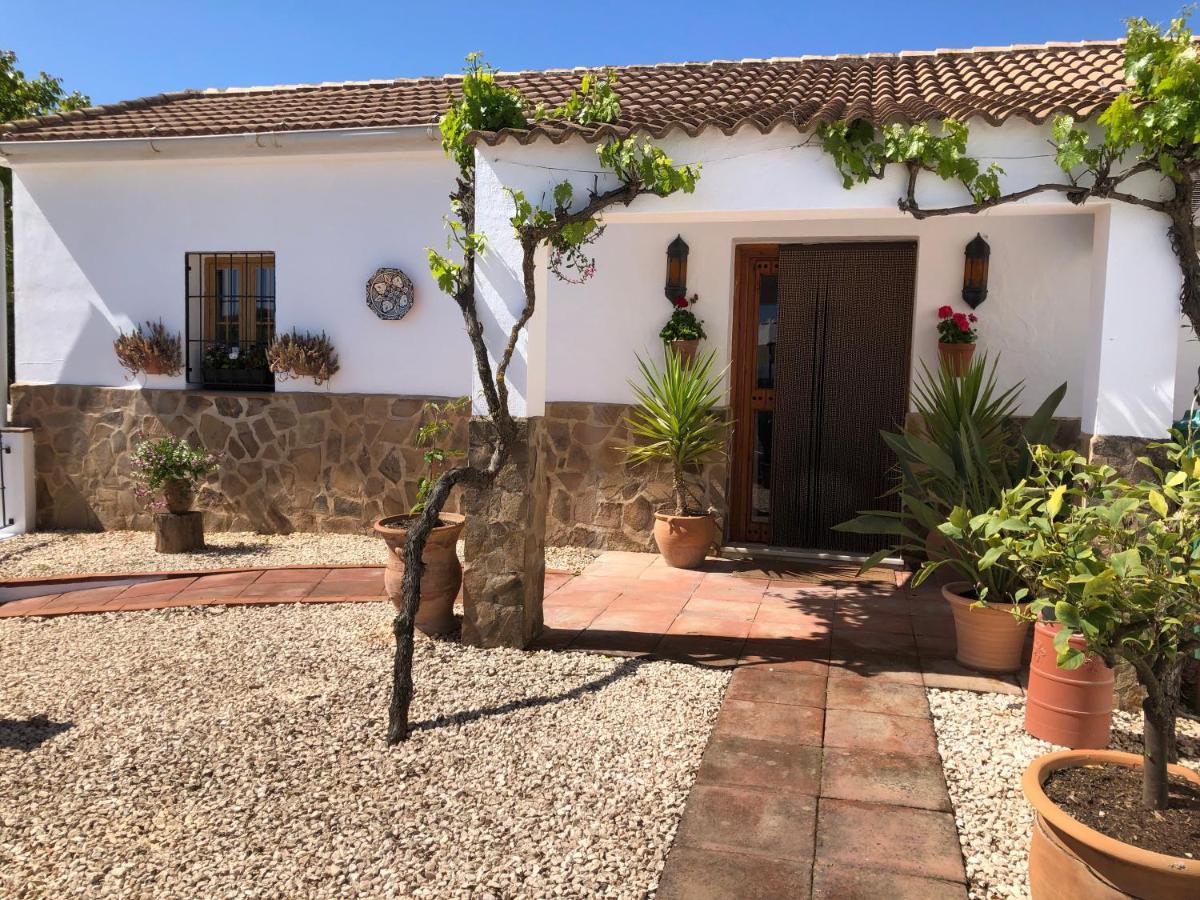 Bed and Breakfast Casa La Alegria 37 Вильянуэва-де-Тапиа Экстерьер фото